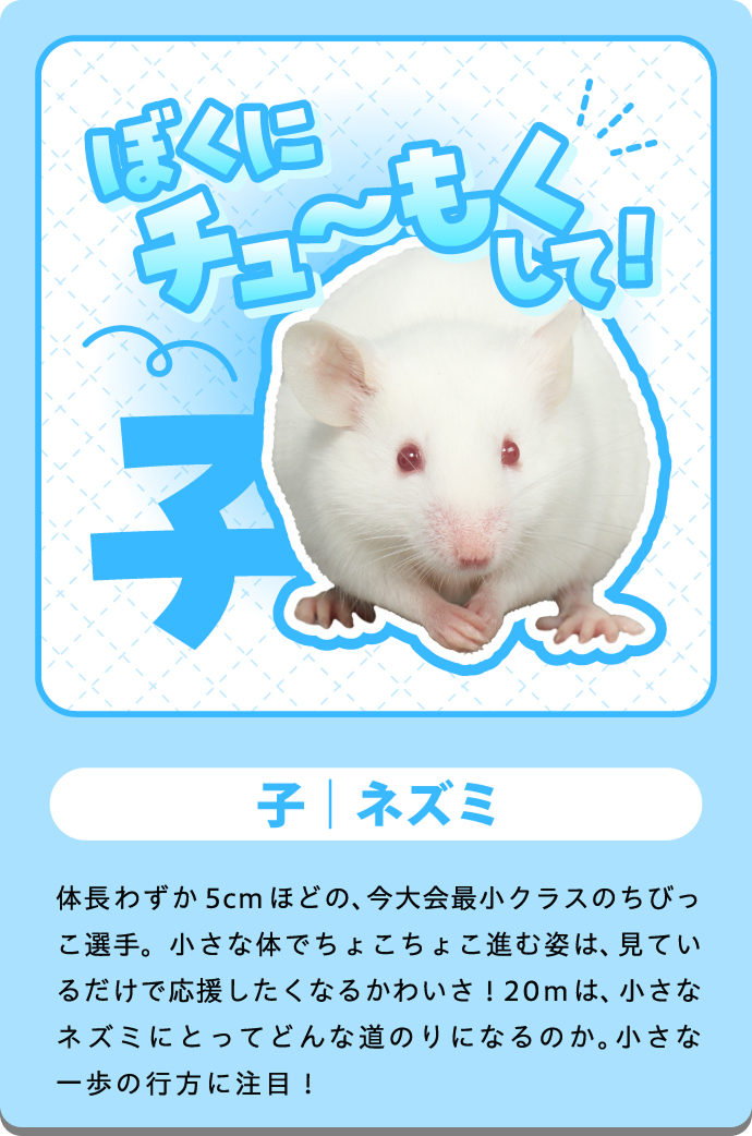 アリス（ネズミ）の紹介カード