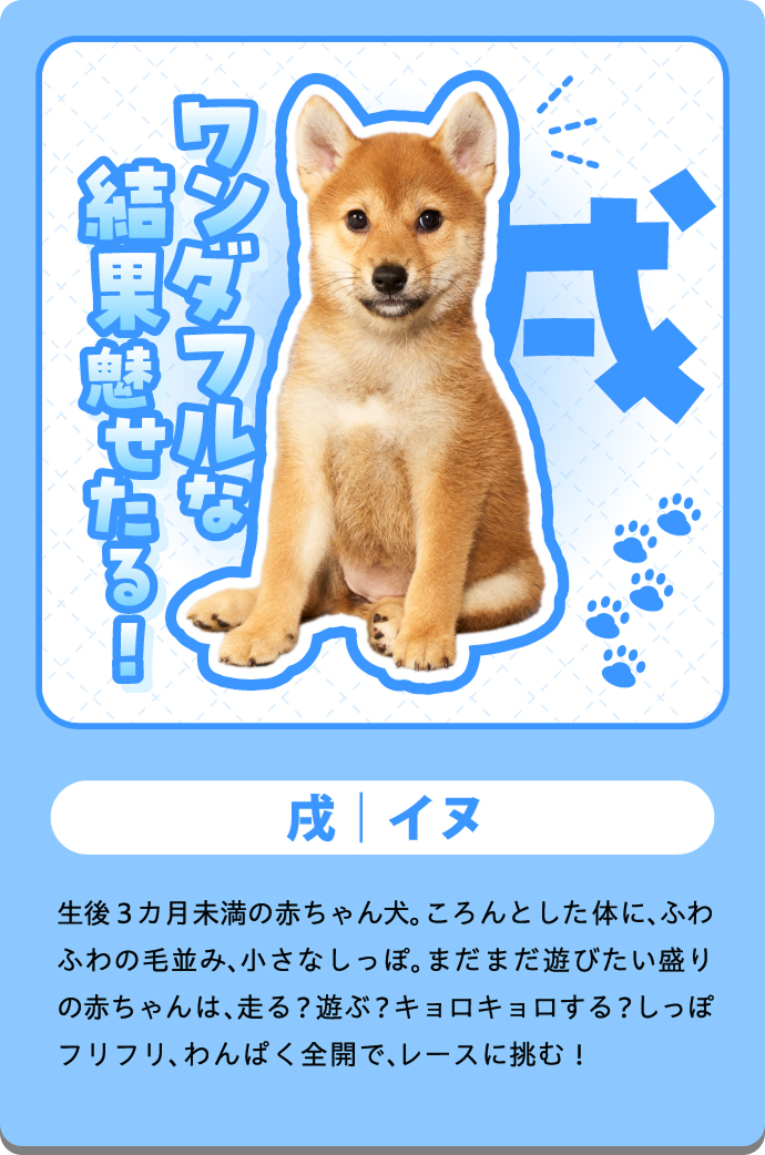 ポチ（犬）の紹介カード