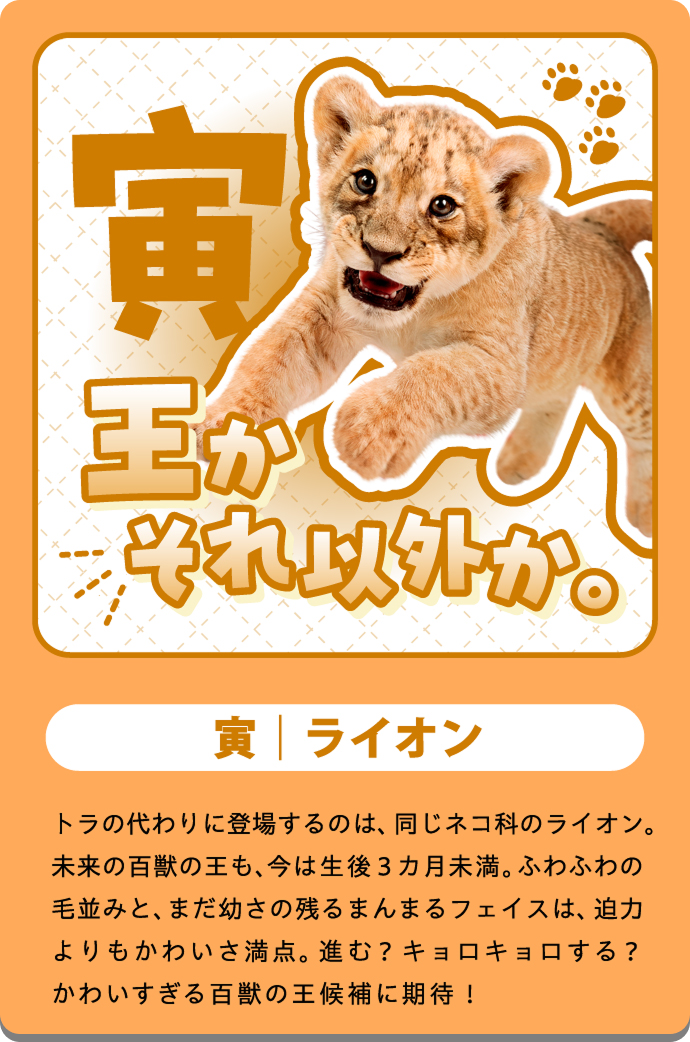 トラ吉（とら）の紹介カード