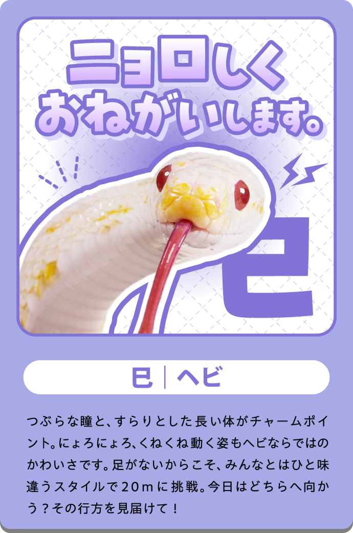 ニョロ（へび）の紹介カード