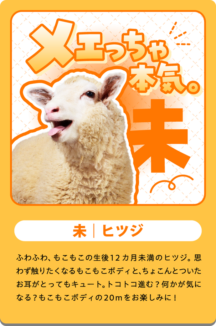 メリー（羊）の紹介カード