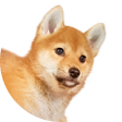 犬