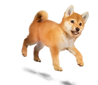 犬
