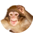 さる