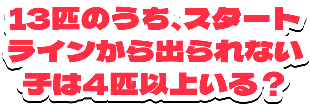 13匹のうち、スタートラインから出られない子は4匹以上いる？