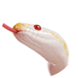 へび