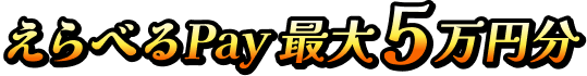 えらべるPay 最大5万円分