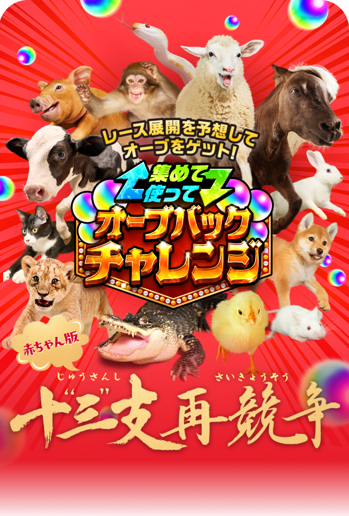 レース展開を予想してオーブをゲット！ 集めて使ってオーブバックチャレンジ 赤ちゃん版 十三支再競争