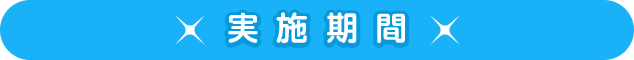 実施期間
