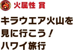 火属性賞